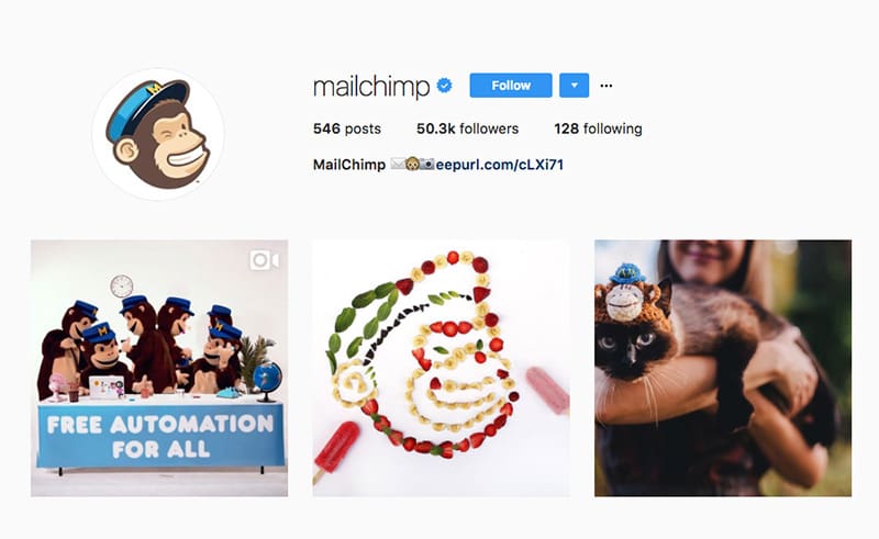 MailChimp Instagram Profile